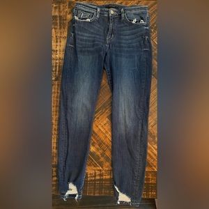 Flying Monkey Mid-Rise Skinny Jean